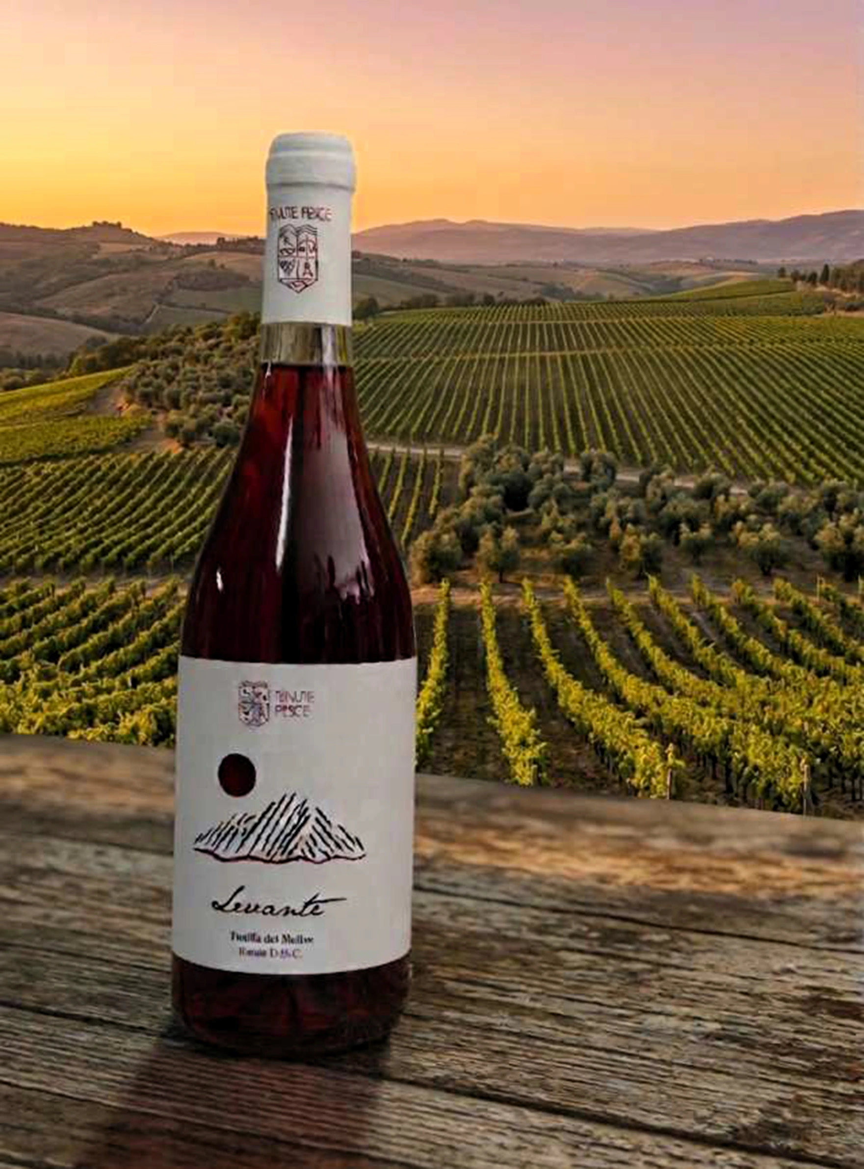 Levante – Tintilia del Molise Rosato DOC – Tenute Pesce